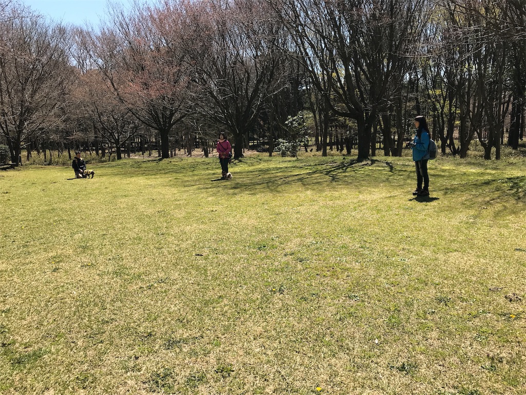f:id:noel_mama:20190405163213j:image