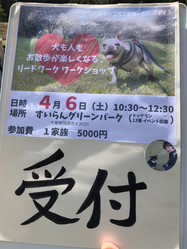f:id:noel_mama:20190406184858j:image f:id:noel_mama:20190406184858j:image