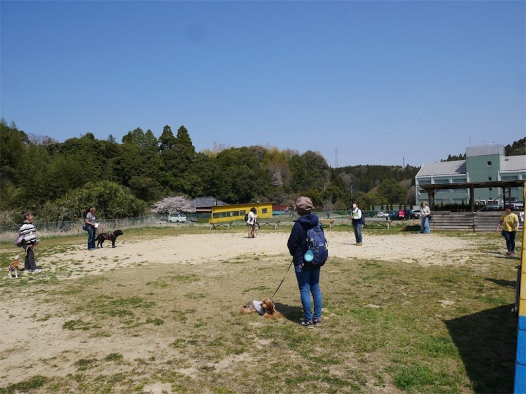 f:id:noel_mama:20190406185547j:image f:id:noel_mama:20190406185547j:image