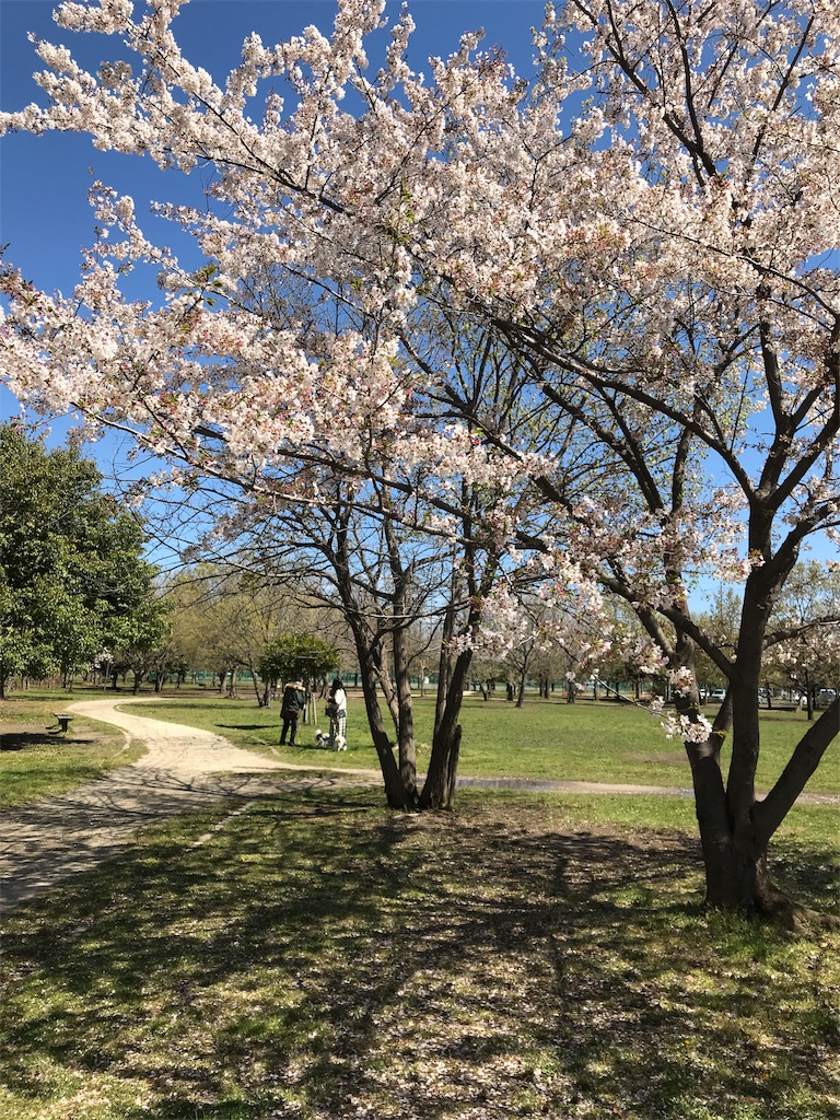 f:id:noel_mama:20190411215042j:image f:id:noel_mama:20190411215042j:image