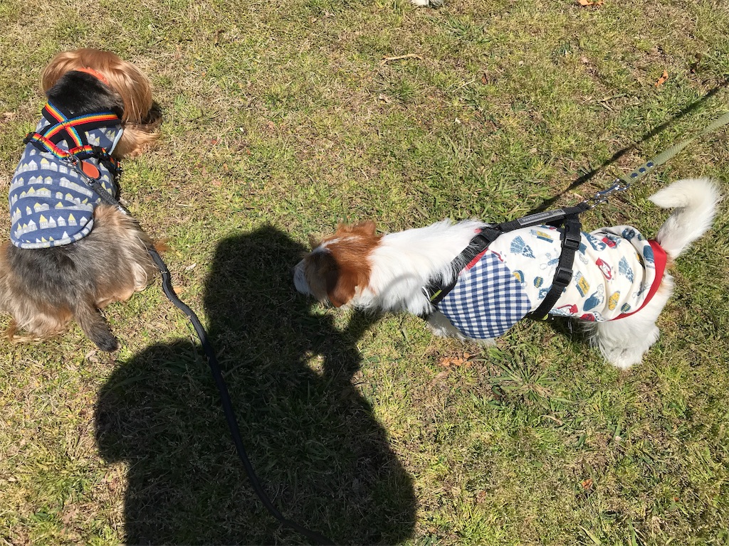 f:id:noel_mama:20190411221613j:image f:id:noel_mama:20190411221613j:image