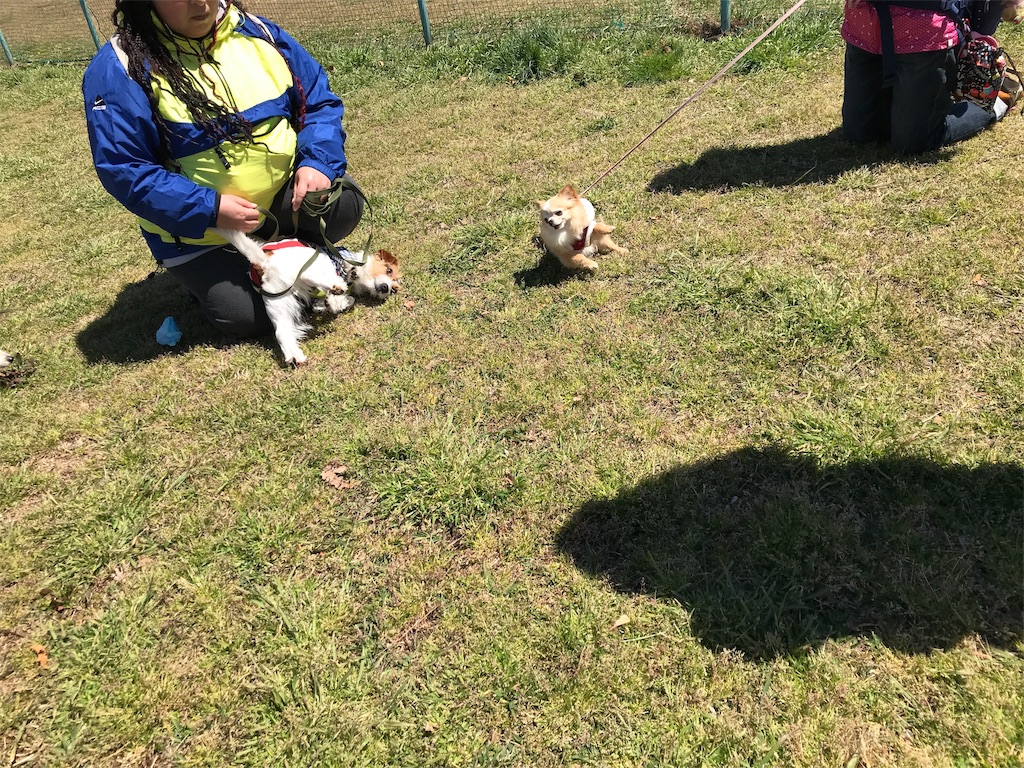 f:id:noel_mama:20190411222222j:image f:id:noel_mama:20190411222222j:image