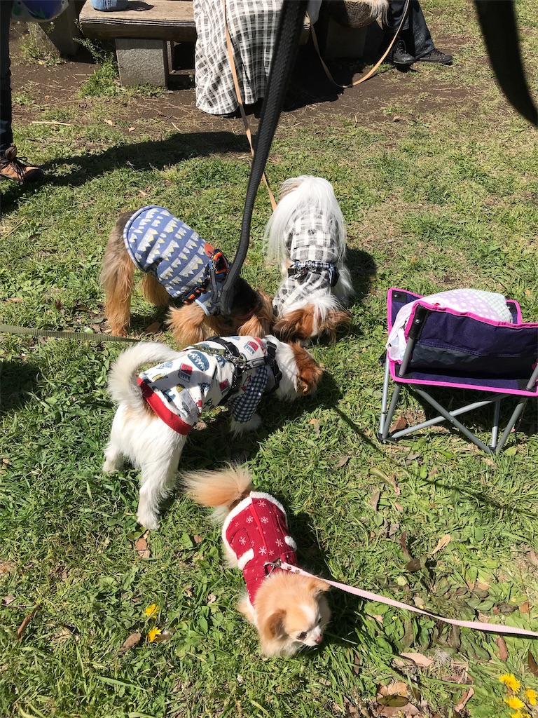f:id:noel_mama:20190411222740j:image f:id:noel_mama:20190411222740j:image