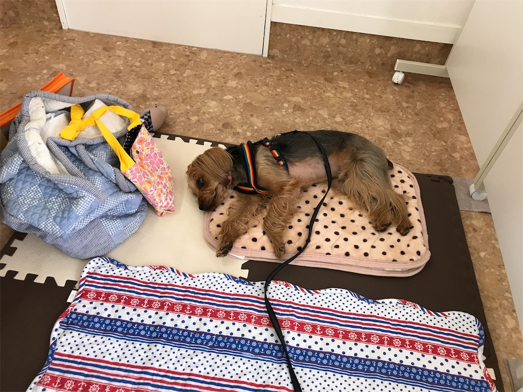 f:id:noel_mama:20190426234944j:image f:id:noel_mama:20190426234944j:image