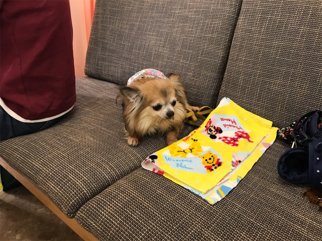 f:id:noel_mama:20190426235126j:image f:id:noel_mama:20190426235126j:image