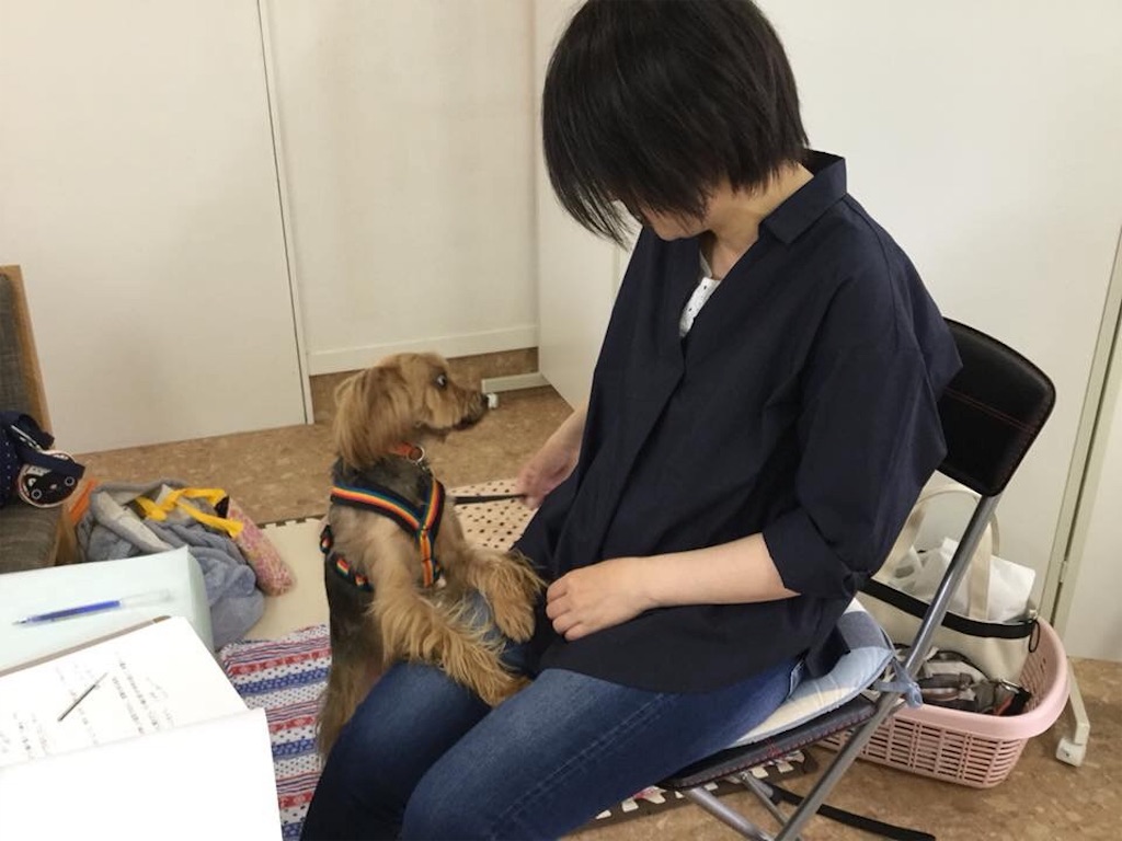 f:id:noel_mama:20190426235248j:image f:id:noel_mama:20190426235248j:image