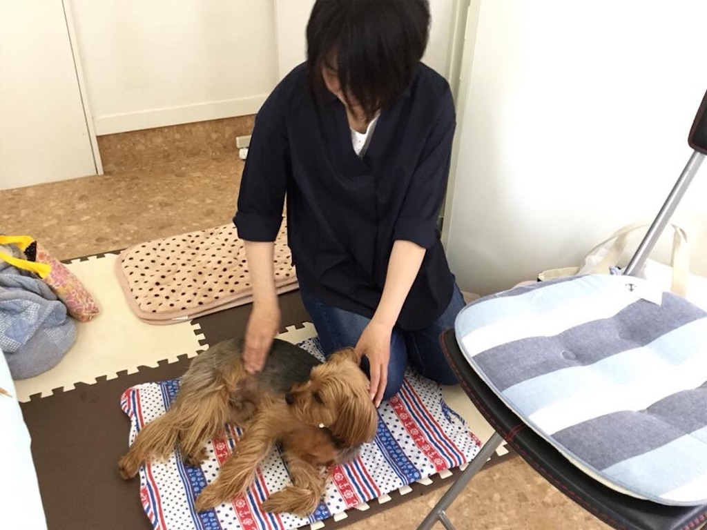 f:id:noel_mama:20190426235412j:image f:id:noel_mama:20190426235412j:image