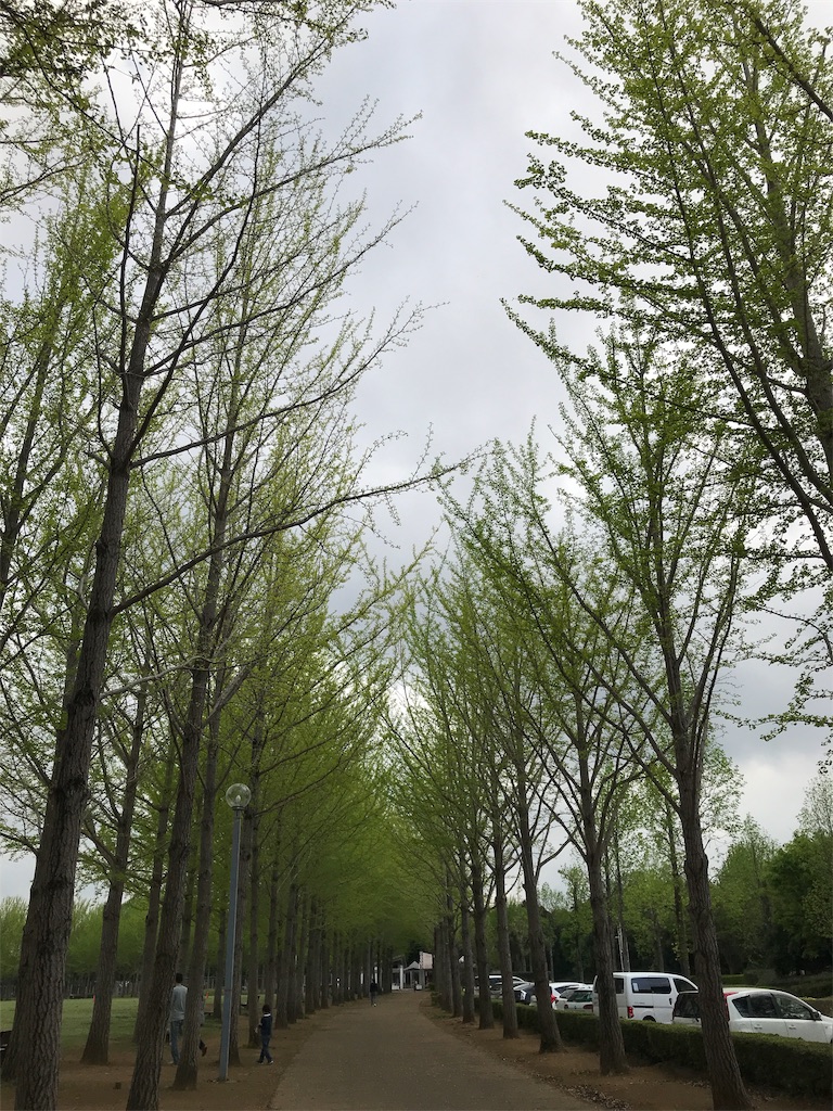 f:id:noel_mama:20190426235542j:image f:id:noel_mama:20190426235542j:image