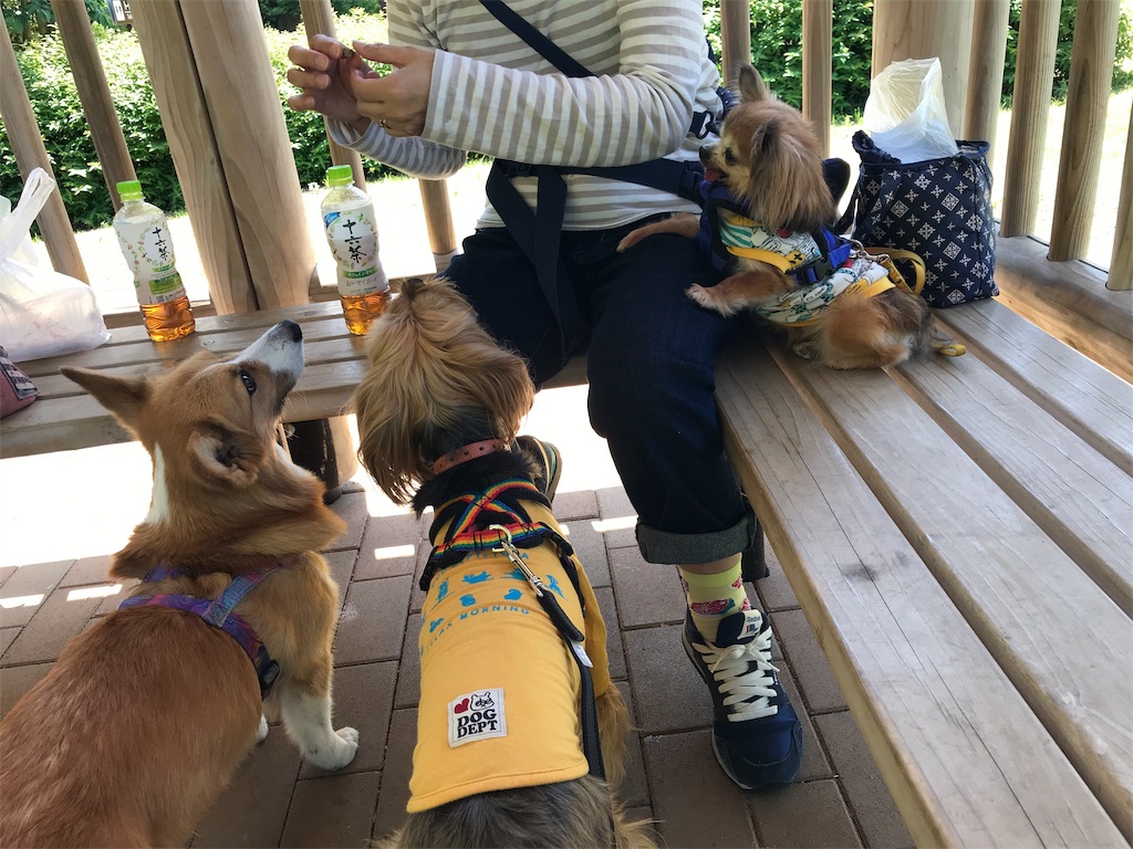 f:id:noel_mama:20190524125945j:image f:id:noel_mama:20190524125945j:image