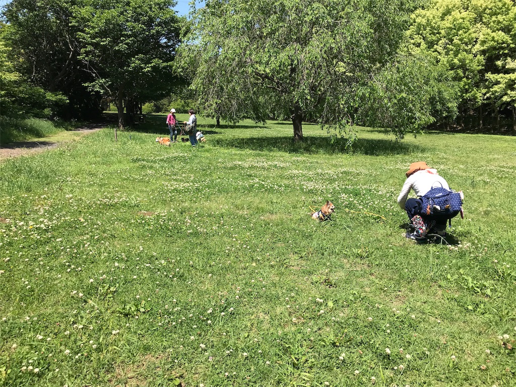 f:id:noel_mama:20190524130345j:image f:id:noel_mama:20190524130345j:image
