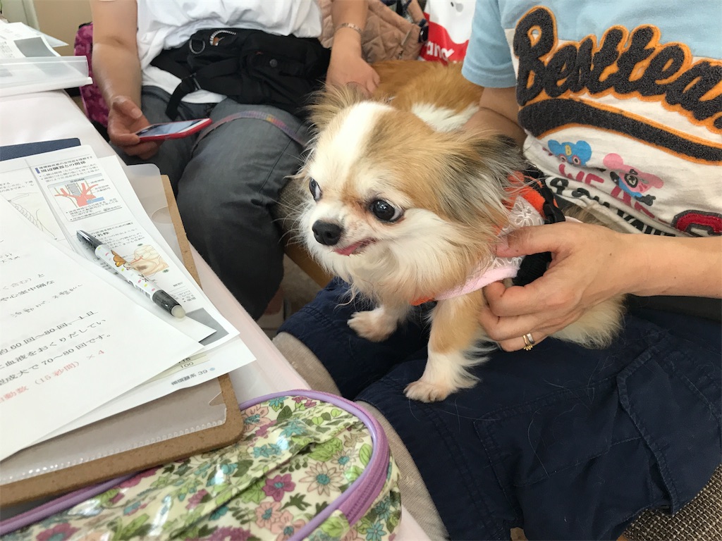 f:id:noel_mama:20190628213455j:image f:id:noel_mama:20190628213455j:image