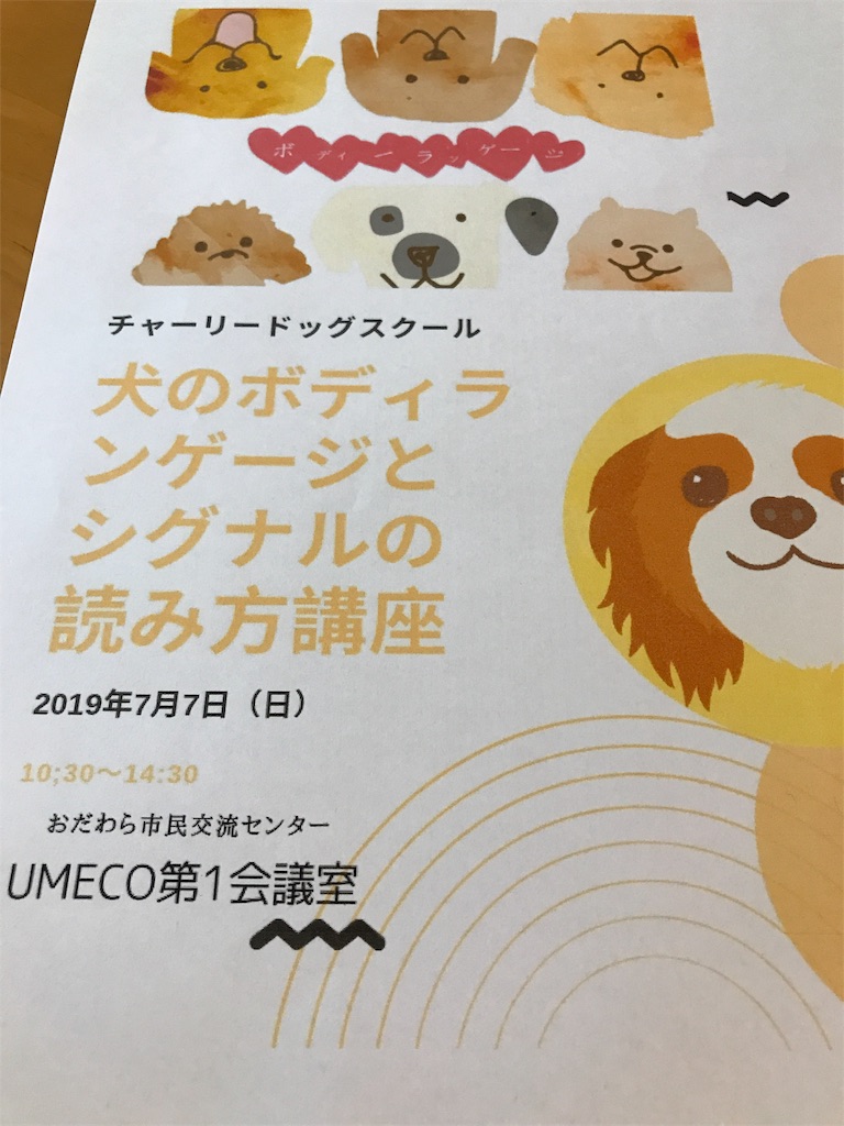 f:id:noel_mama:20190708191530j:image f:id:noel_mama:20190708191530j:image