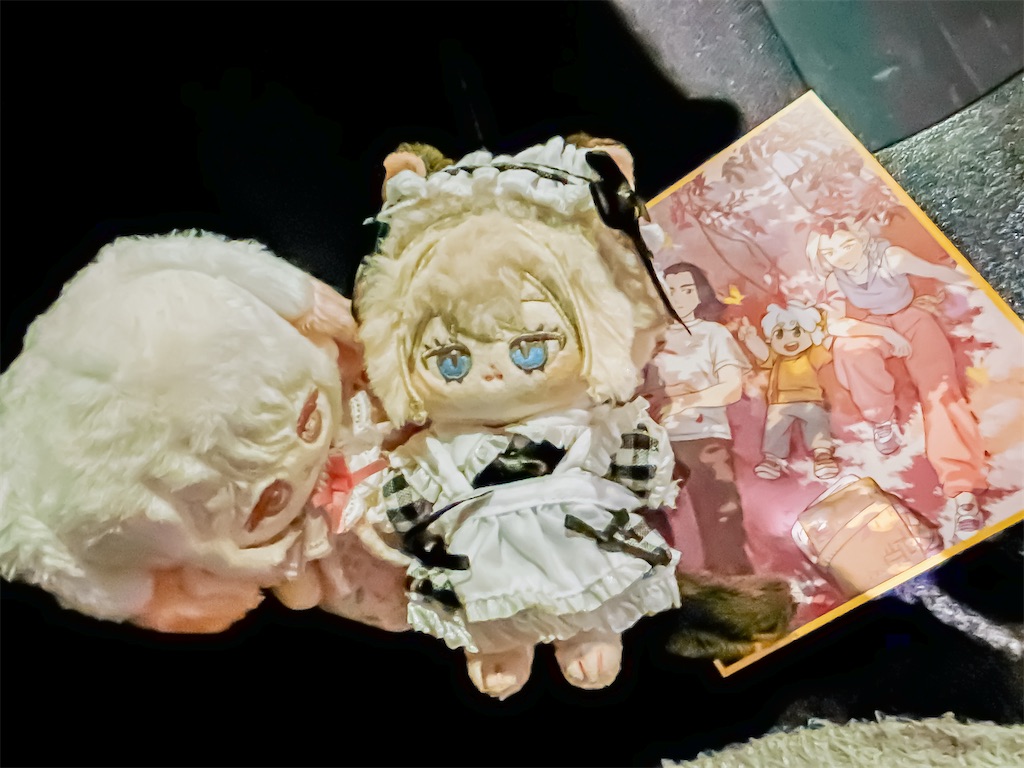 羅小黒戦記 シャオヘイ 手作り人形 Luo Xiaohei アートドール 羅小黒