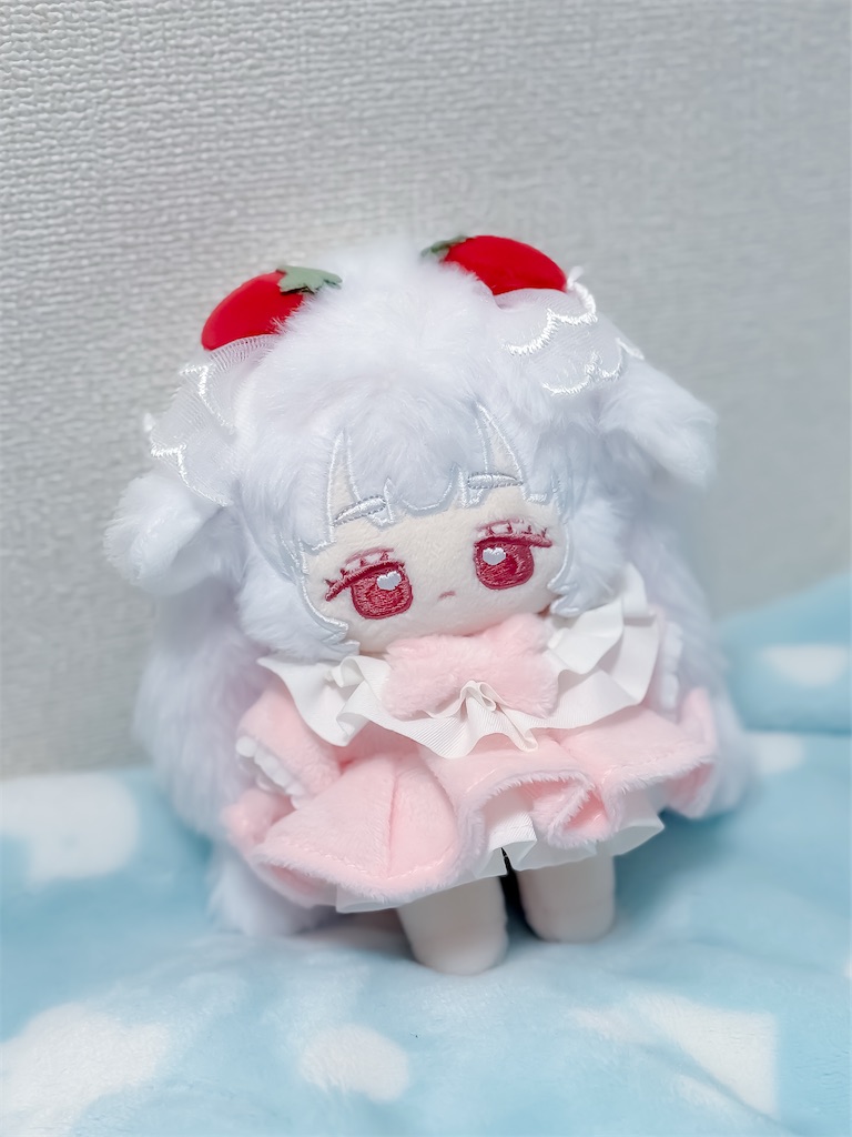 色違いお揃いぬい服 購入品紹介】3月にお迎えしたぬいや購入品紹介 - のえどーる日記