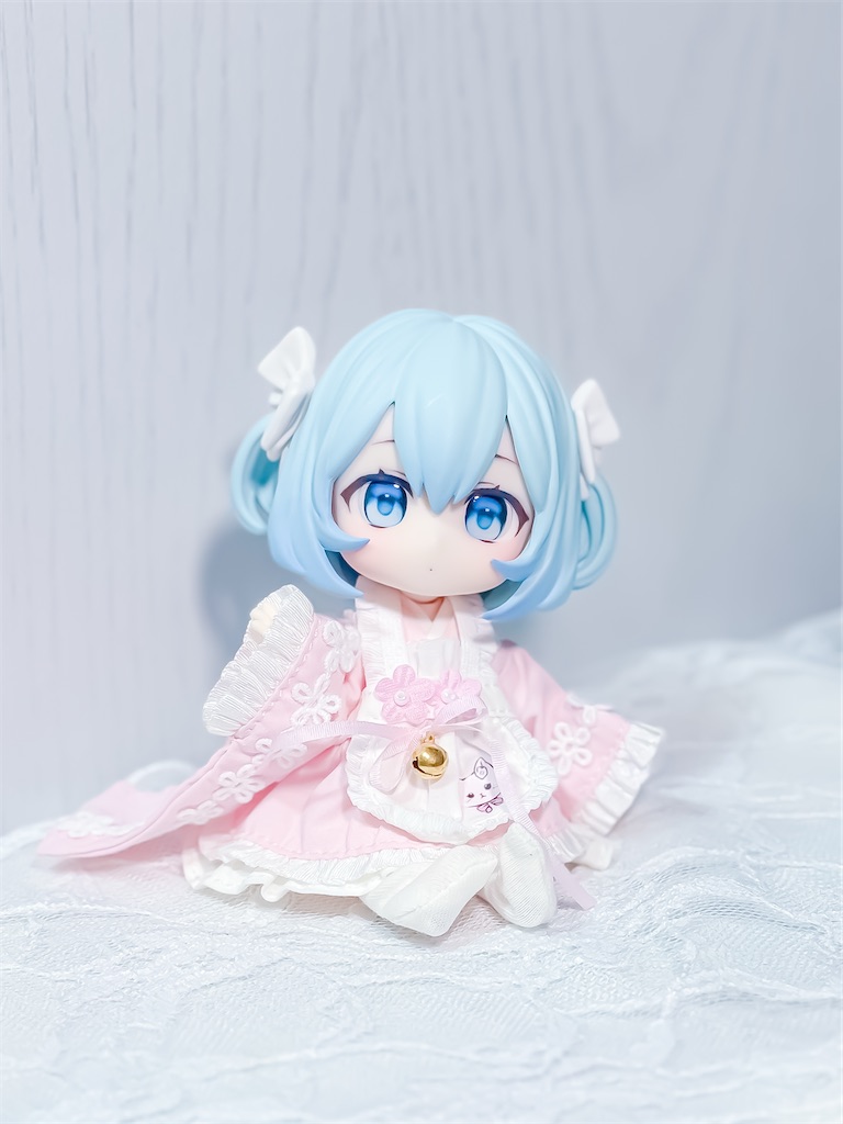お迎えレポ#17】カスタムねんどろいどどーるをお迎えした話 - のえどー