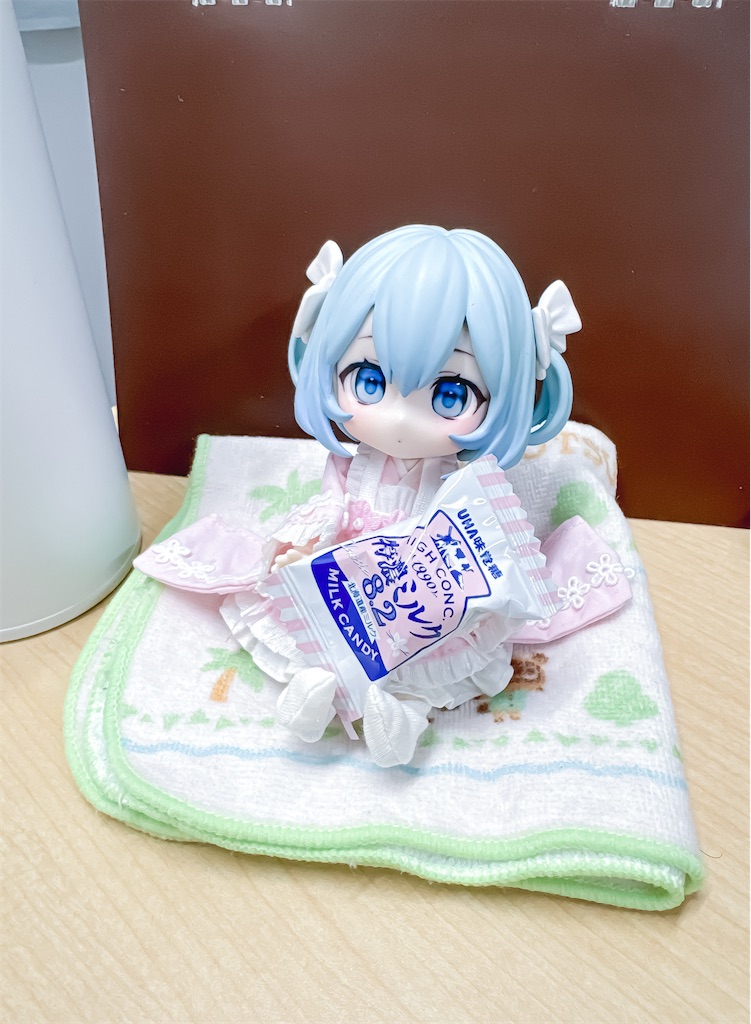 お迎えレポ#17】カスタムねんどろいどどーるをお迎えした話 - のえどー 