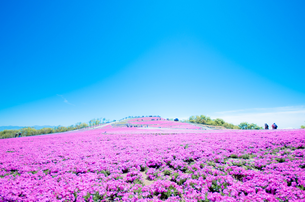 f:id:noephoto:20160524085403j:plain f:id:noephoto:20160524085403j:plain