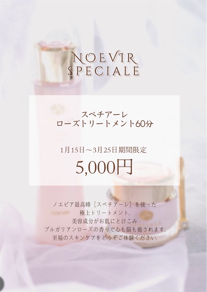 f:id:noevirgreencafe:20240109230039j:image