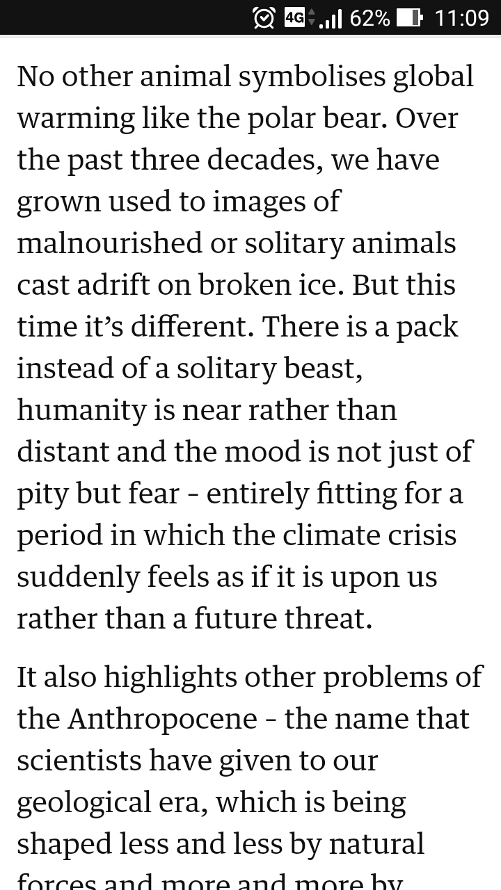 f:id:nofrills:20190309194728j:plain