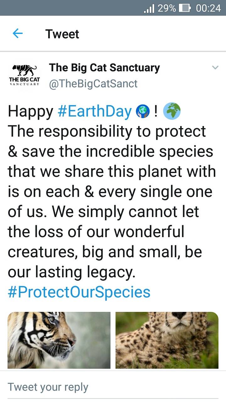 f:id:nofrills:20190423020217j:plain f:id:nofrills:20190423020217j:plain