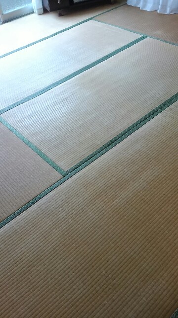 f:id:nogamitatamidr:20160801230241j:image f:id:nogamitatamidr:20160801230241j:image