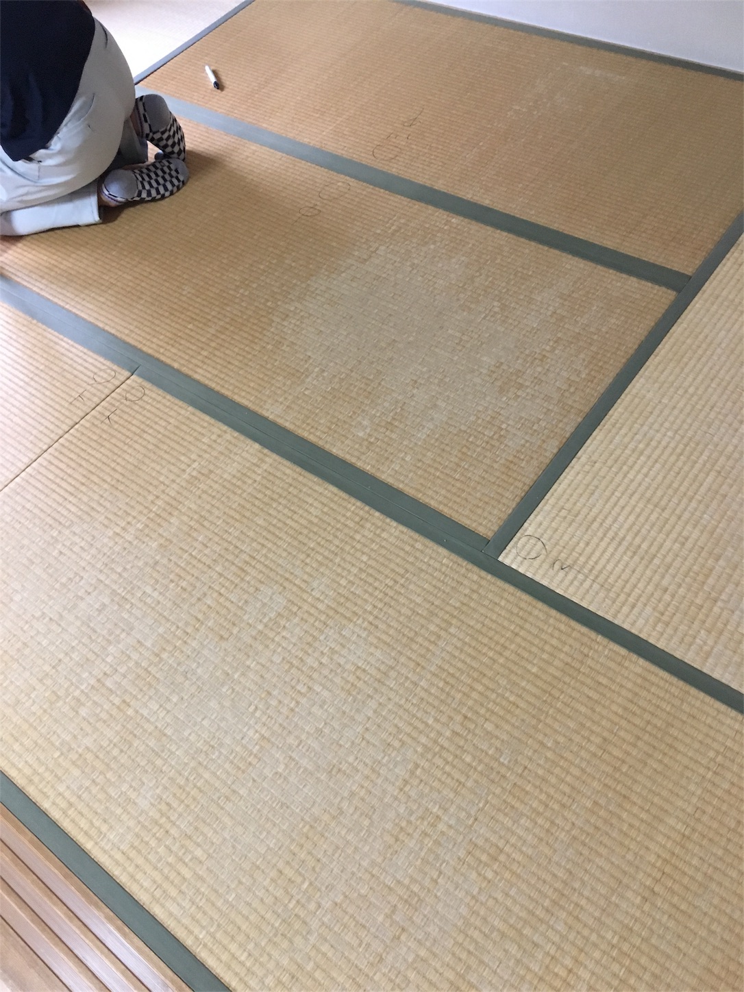 f:id:nogamitatamidr:20180922214157j:image f:id:nogamitatamidr:20180922214157j:image