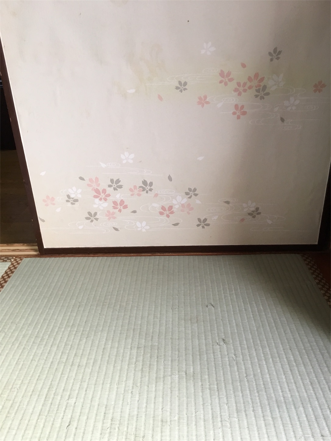 f:id:nogamitatamidr:20180922222059j:image f:id:nogamitatamidr:20180922222059j:image
