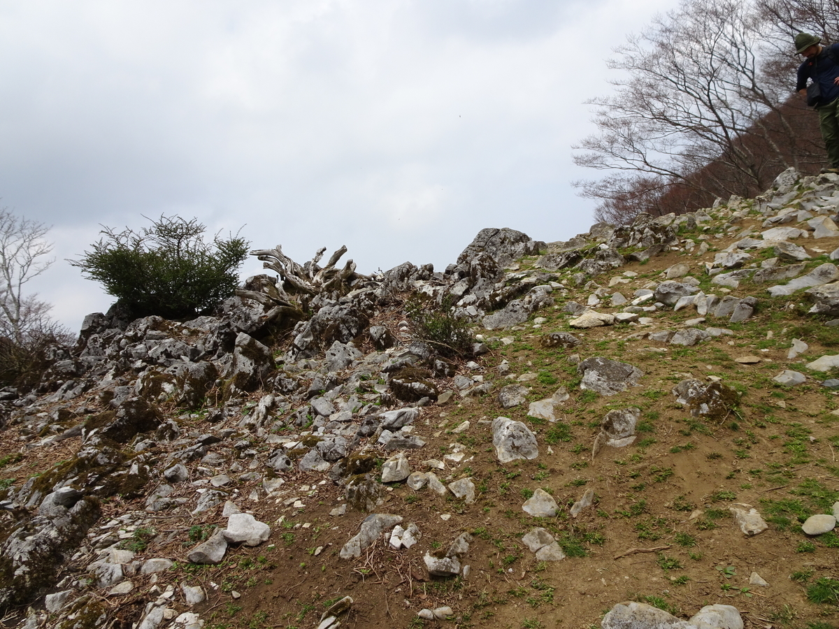 f:id:nogatan:20190513033018j:plain f:id:nogatan:20190513033018j:plain