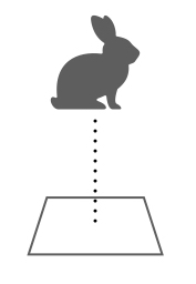 f:id:nogawanogawa:20180526082552j:plain