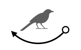 f:id:nogawanogawa:20180526084042j:plain