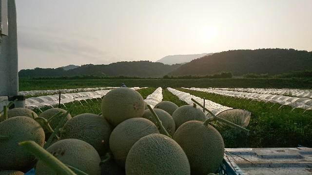 f:id:nogigen:20170805223011j:image f:id:nogigen:20170805223011j:image