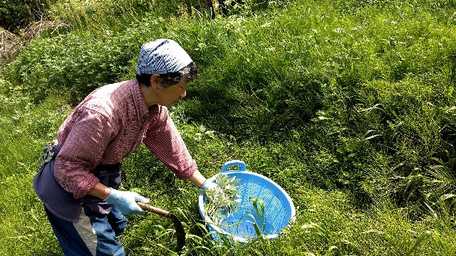 f:id:nogigen:20180502231027j:image