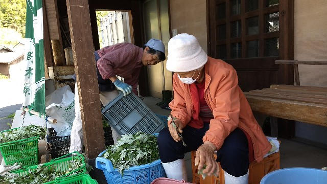 f:id:nogigen:20180502231807j:image