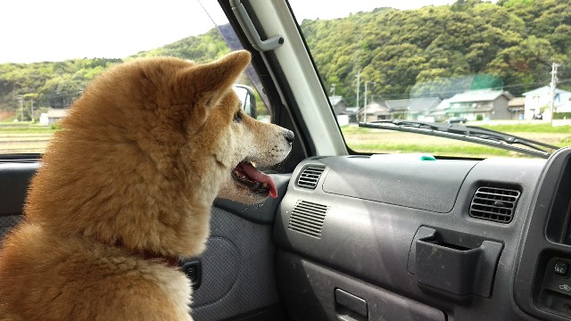 f:id:nogigen:20180502233423j:image