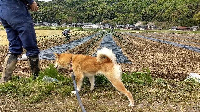 f:id:nogigen:20180502233747j:image