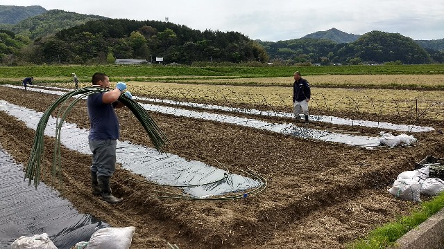 f:id:nogigen:20180502233838j:image