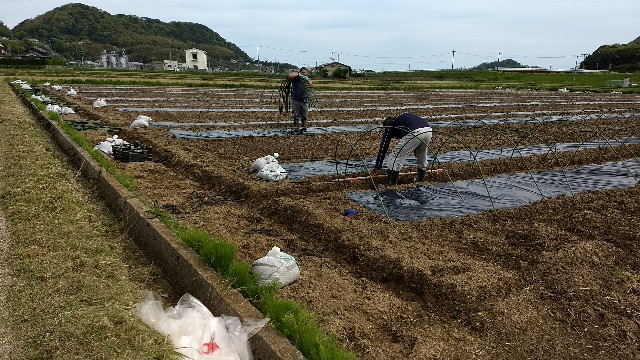 f:id:nogigen:20180502234145j:image