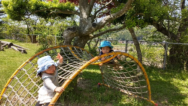f:id:nogigen:20180502234442j:image