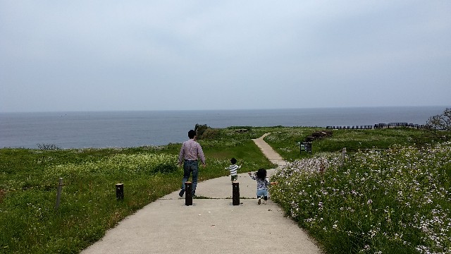 f:id:nogigen:20180502235834j:image