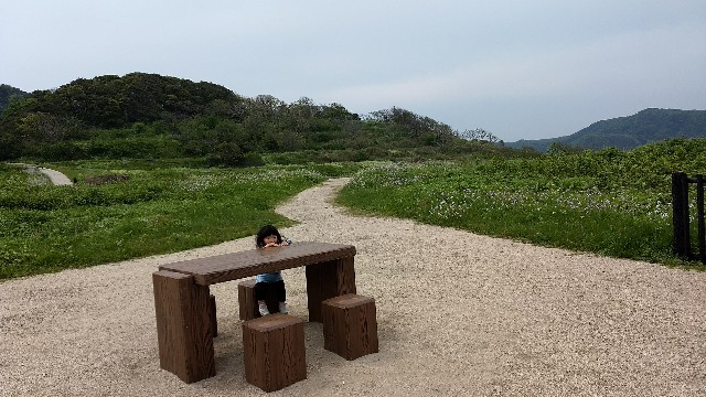 f:id:nogigen:20180503000145j:image