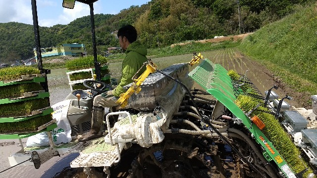 f:id:nogigen:20180510161744j:image