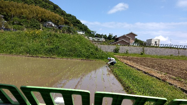 f:id:nogigen:20180510162003j:image