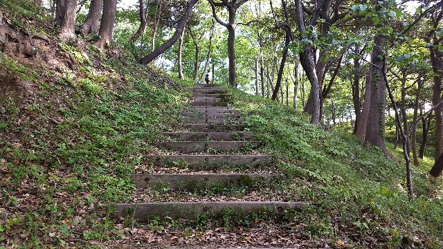 f:id:nogigen:20180511154149j:image