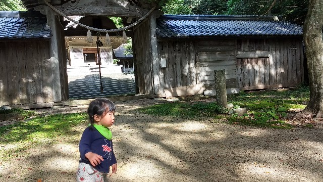 f:id:nogigen:20180511154857j:image