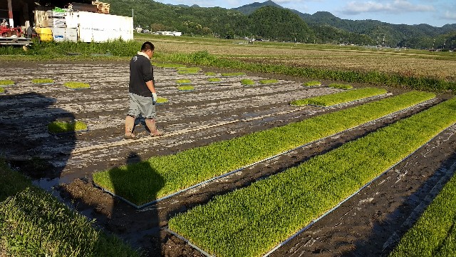 f:id:nogigen:20180511155817j:image