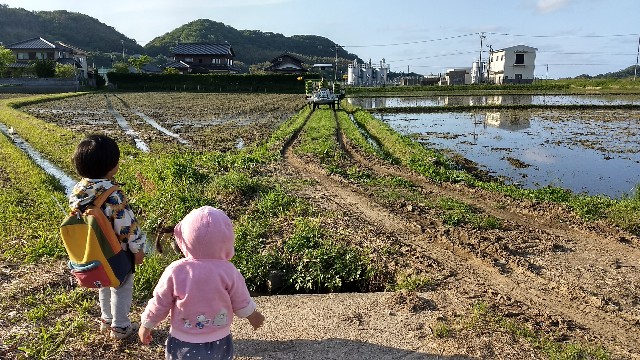 f:id:nogigen:20180511160240j:image