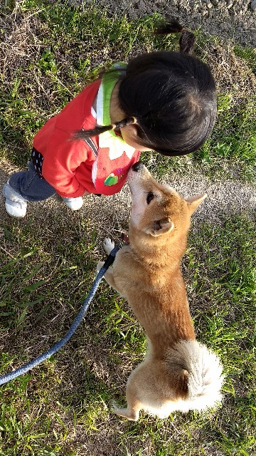 f:id:nogigen:20180524152249j:image