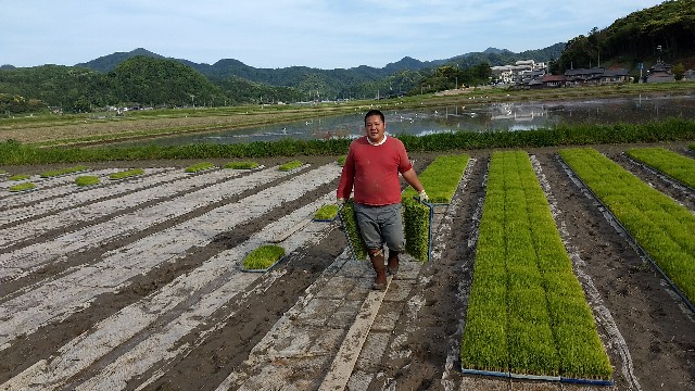 f:id:nogigen:20180524161353j:image