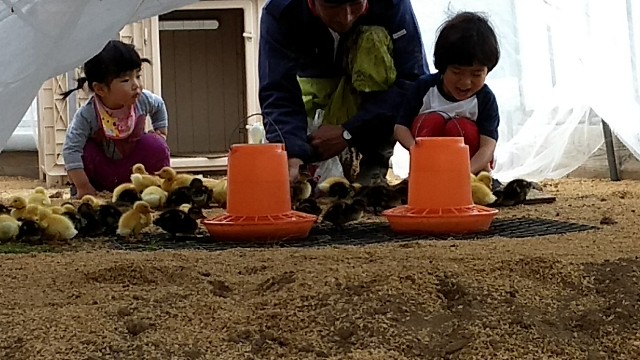 f:id:nogigen:20180526102739j:image