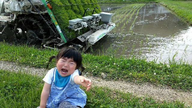 f:id:nogigen:20180526103523j:image